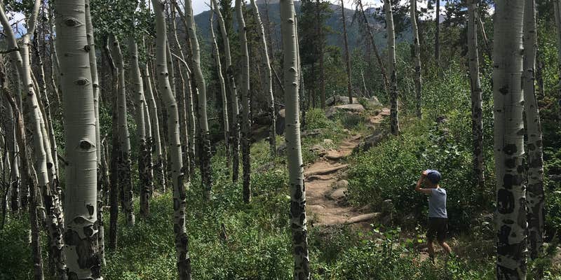 Camper submitted image from East Portal Campground at Estes Park