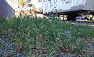 Julie's photo of rv camping at Crown Villa RV Resort near Sisters, OR