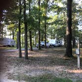 Review photo of Cane Creek State Park Campground by Kathy E., June 14, 2018