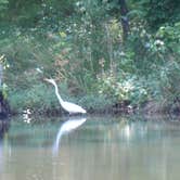 Review photo of Newport News Park by Gina , July 11, 2021