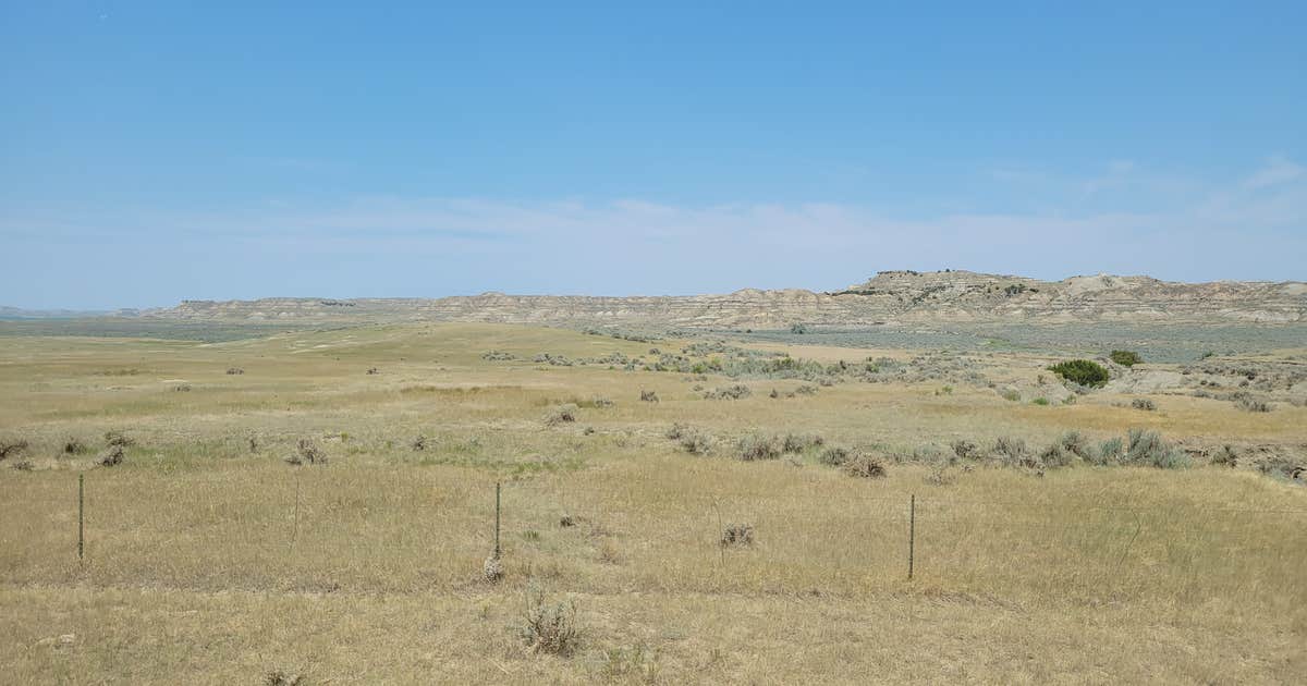 Nelson Creek - Fort Peck Lake