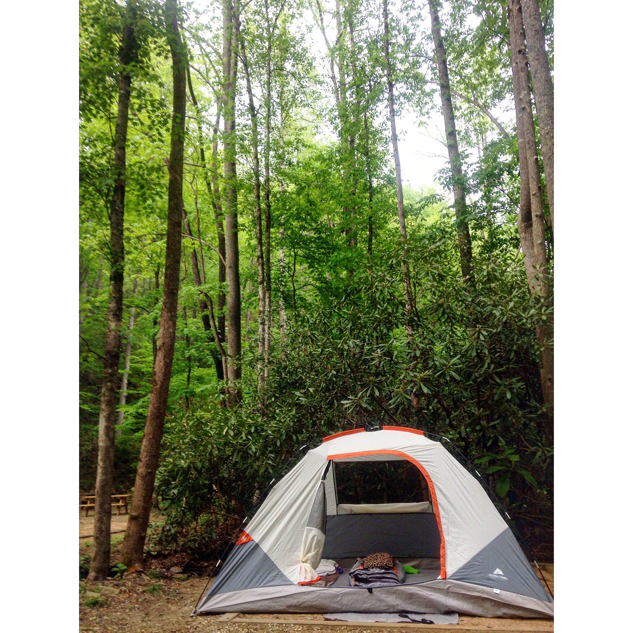Turkey Creek Campground Camping, Almond, NC