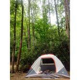 Review photo of Turkey Creek Campground by Kelly C., June 14, 2018