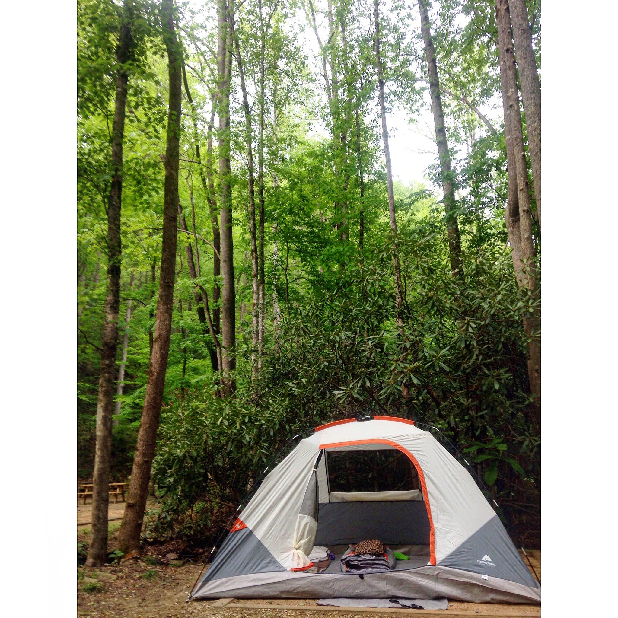 Camper submitted image from Turkey Creek Campground - 2