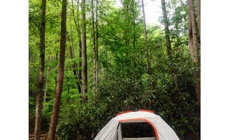 Kelly C.'s photo at Turkey Creek Campground near Almond, NC