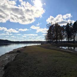 Walleye Park