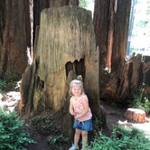 Review photo of Santa Cruz Redwoods RV Resort by Nick P., July 11, 2021