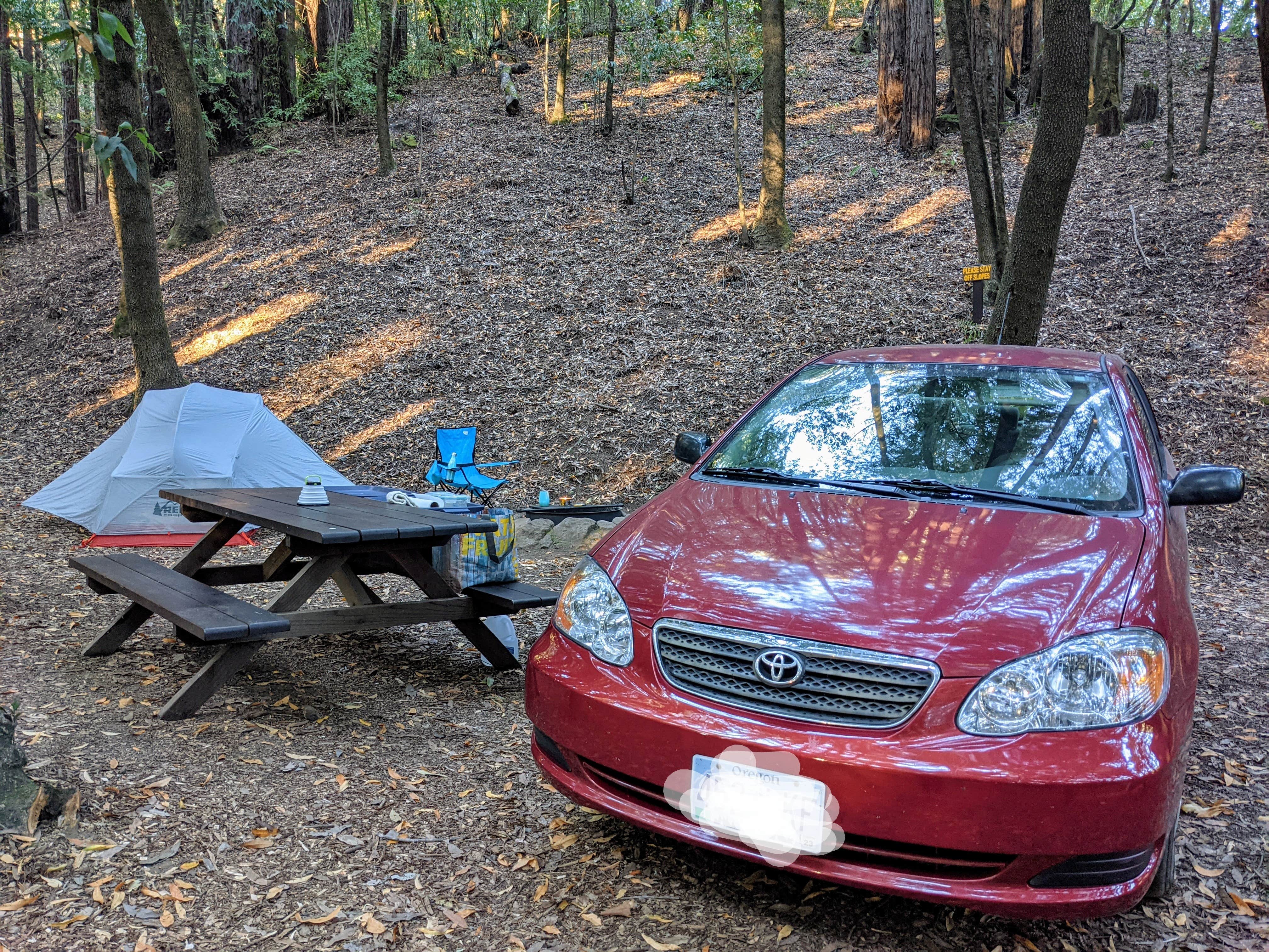 Camper submitted image from Schoolhouse Canyon Campground - 1