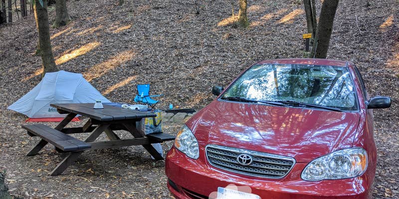 Camper submitted image from Schoolhouse Canyon Campground