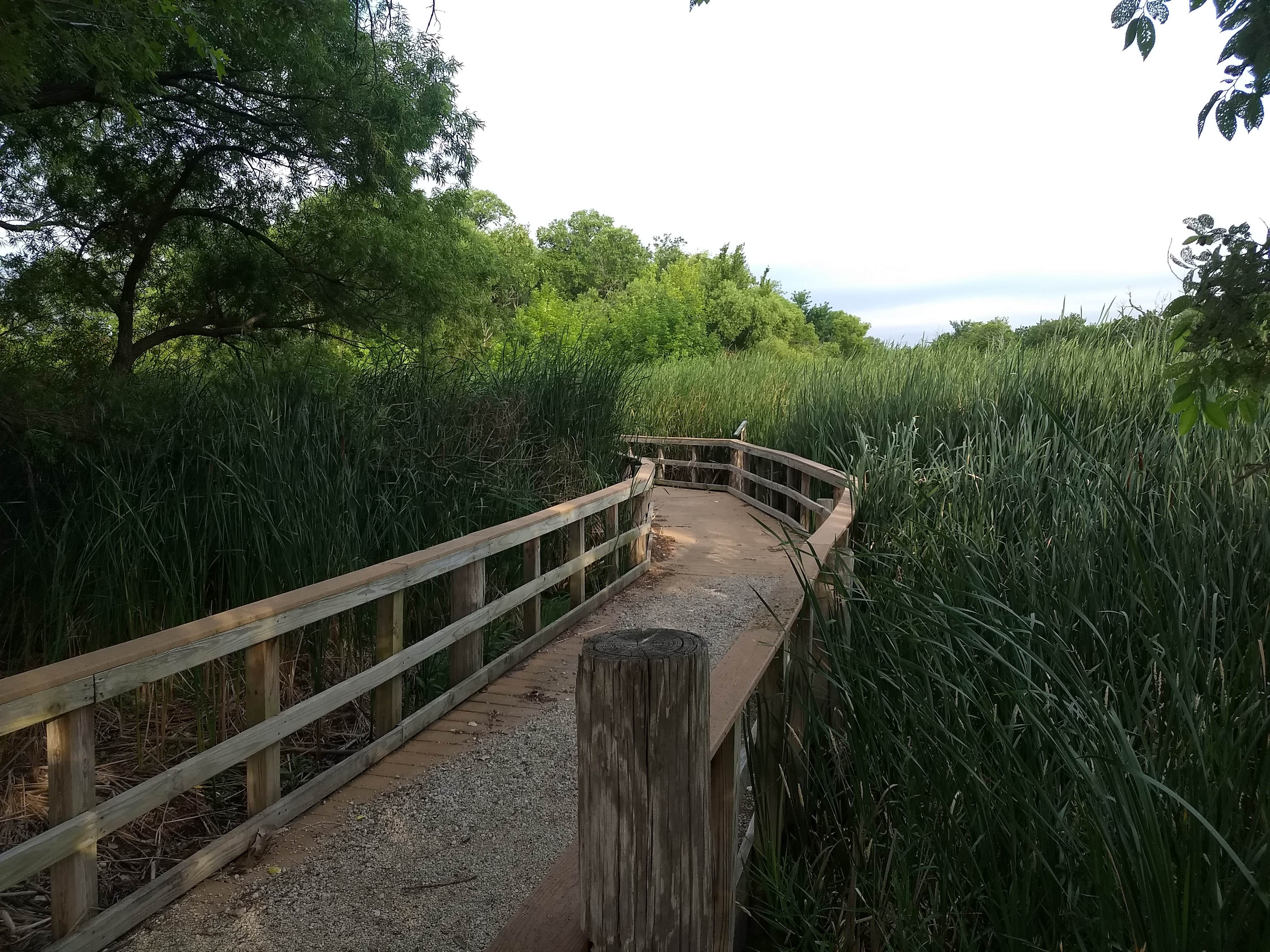 Camper-submitted photo at Pratt County Veterans Memorial Park near Pratt, KS