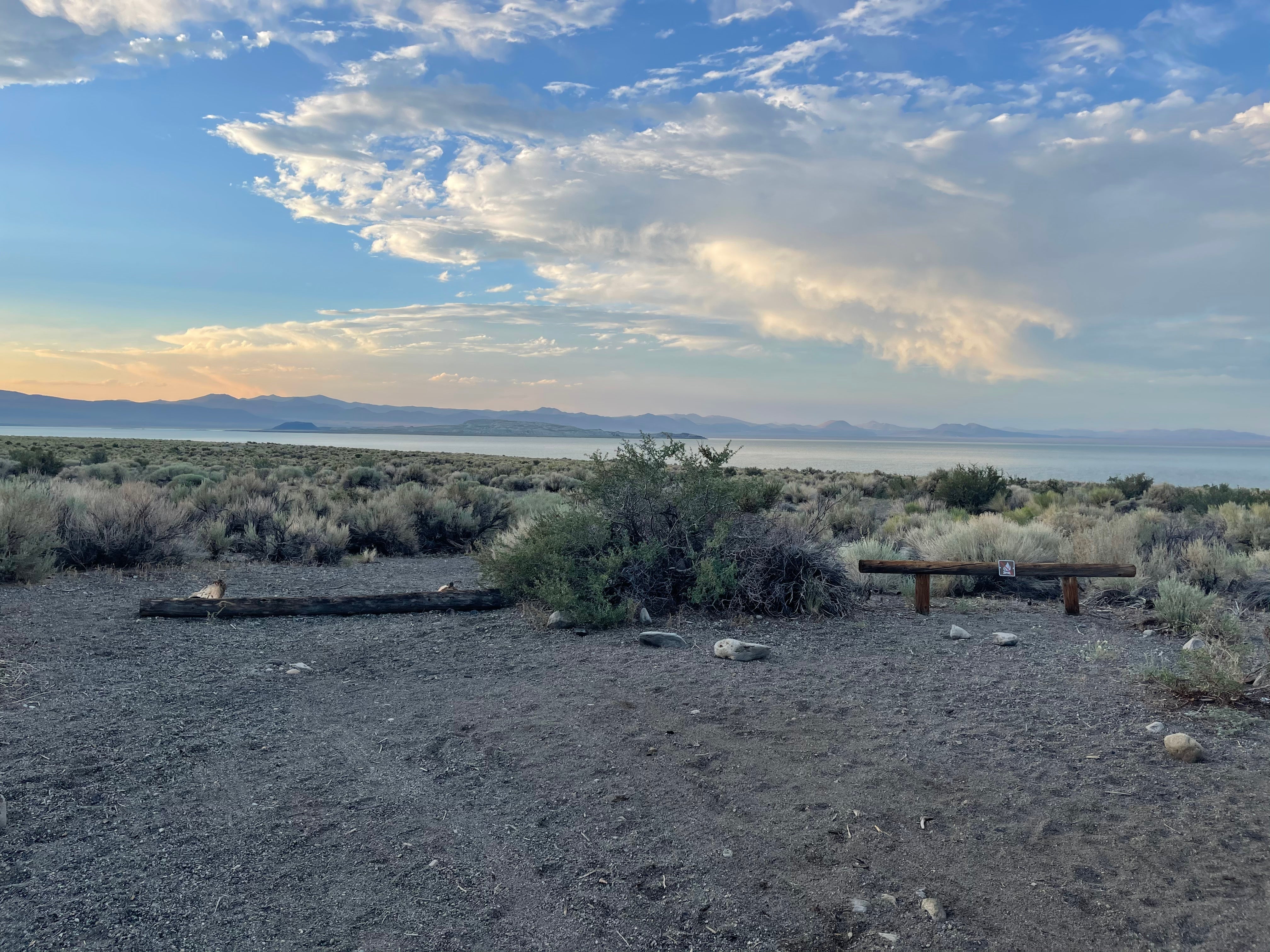 Camper submitted image from Mono Lake South Dispersed - 3