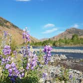 Review photo of Wapiti Campground by Kristen S., July 11, 2021