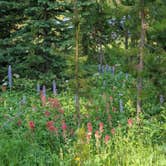 Review photo of Price Creek Campground (Mt) — Beaverhead Deerlodge National Forest by sarah , July 11, 2021