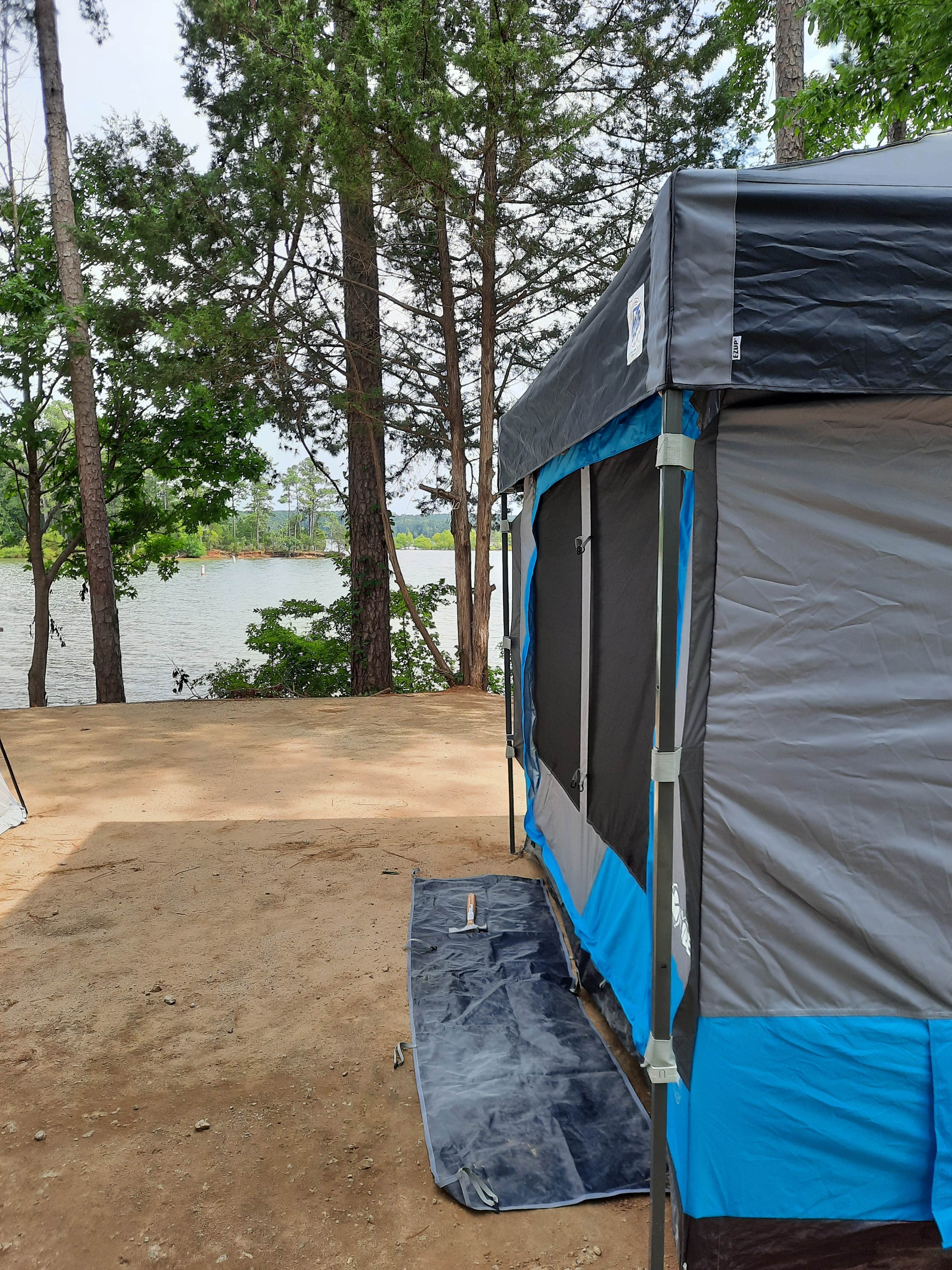 Tanya S.'s photo at Winfield near Lincolnton, GA