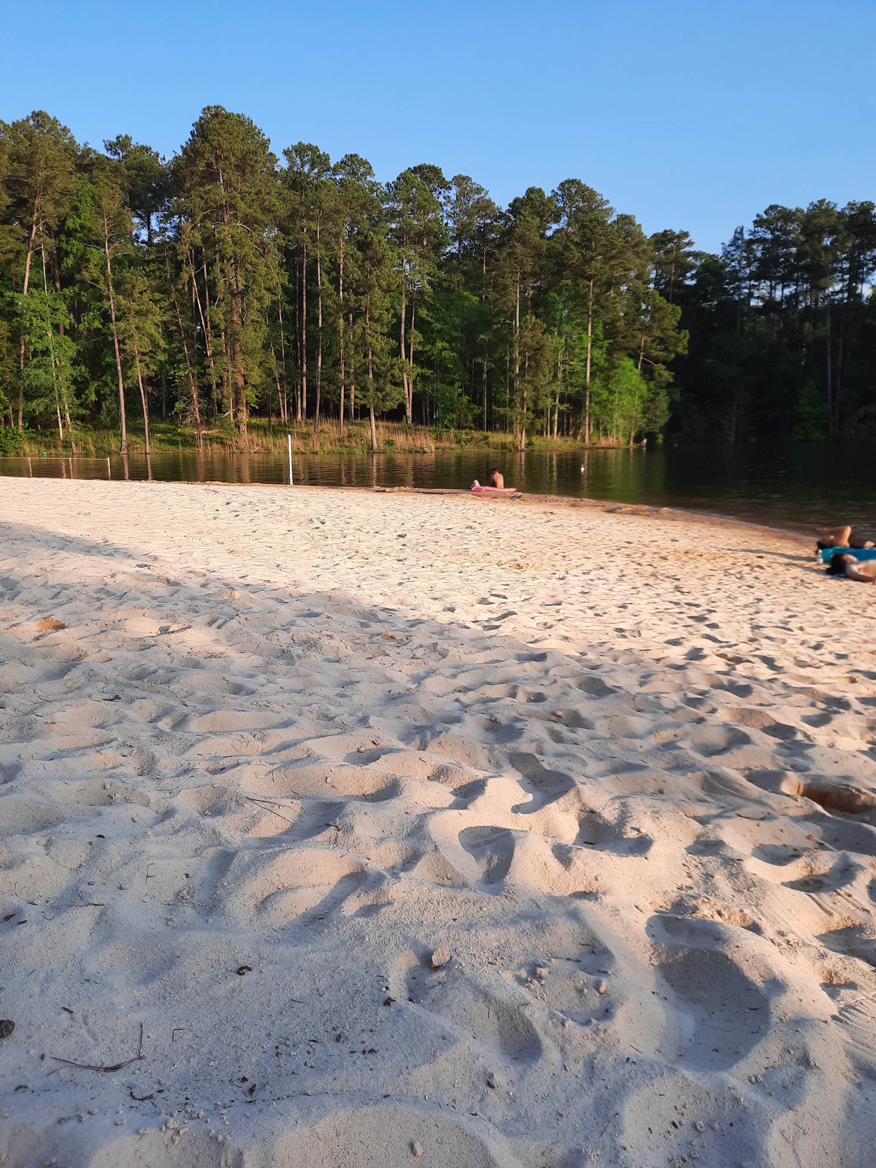 Camper submitted image from Wildwood County Park - 5