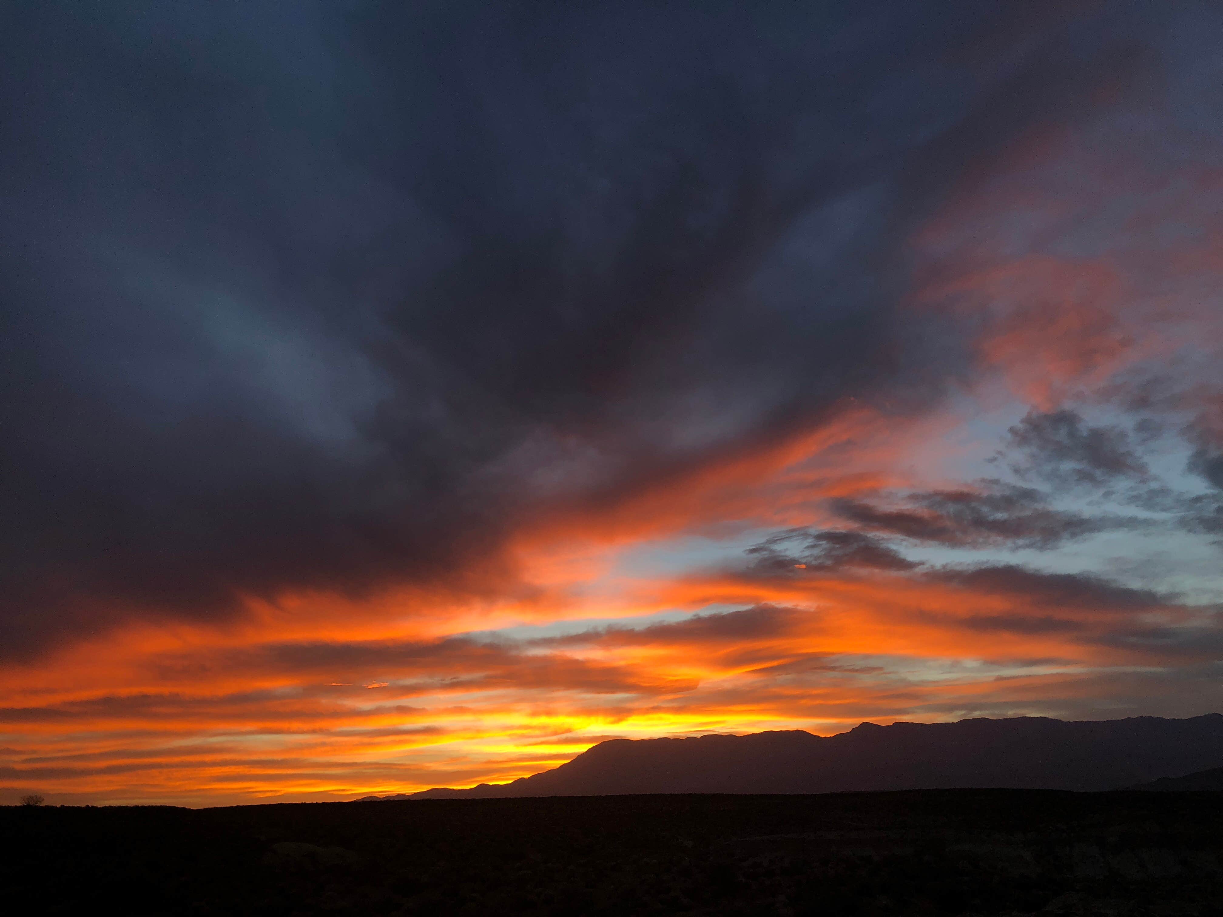 Gaia M.'s photo of a dispersed camping area at La Verkin Overlook Road East — Zion National Park - PERMANENTLY CLOSED near Virgin, UT