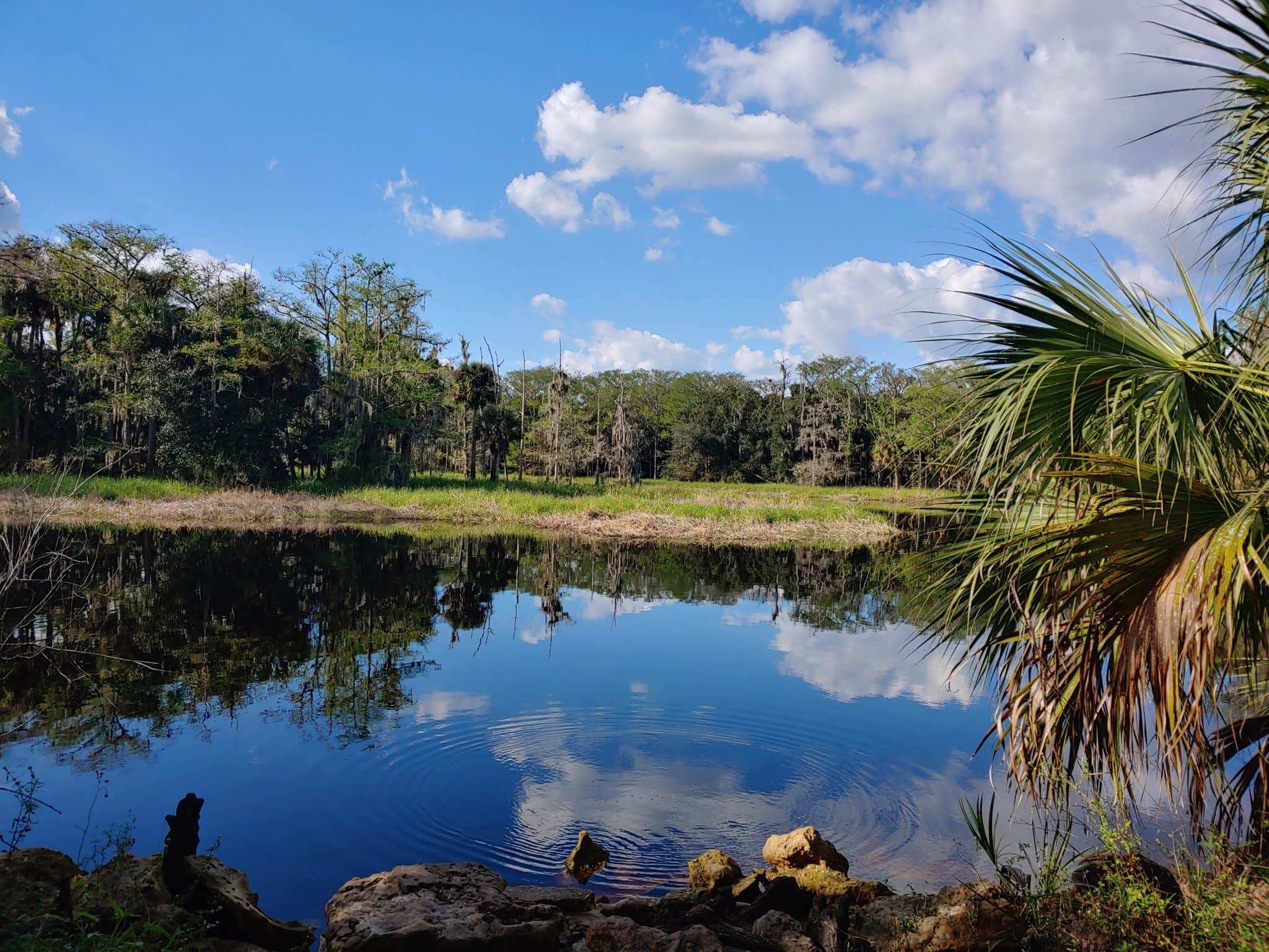 Camper-submitted photo at Fisheating Creek Campground near LaBelle, FL
