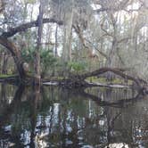 Review photo of Fisheating Creek Campground by Liz J., July 11, 2021