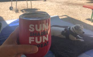 susan R.'s photo of camping with pets at Smithwoods RV Park near Santa Cruz, CA