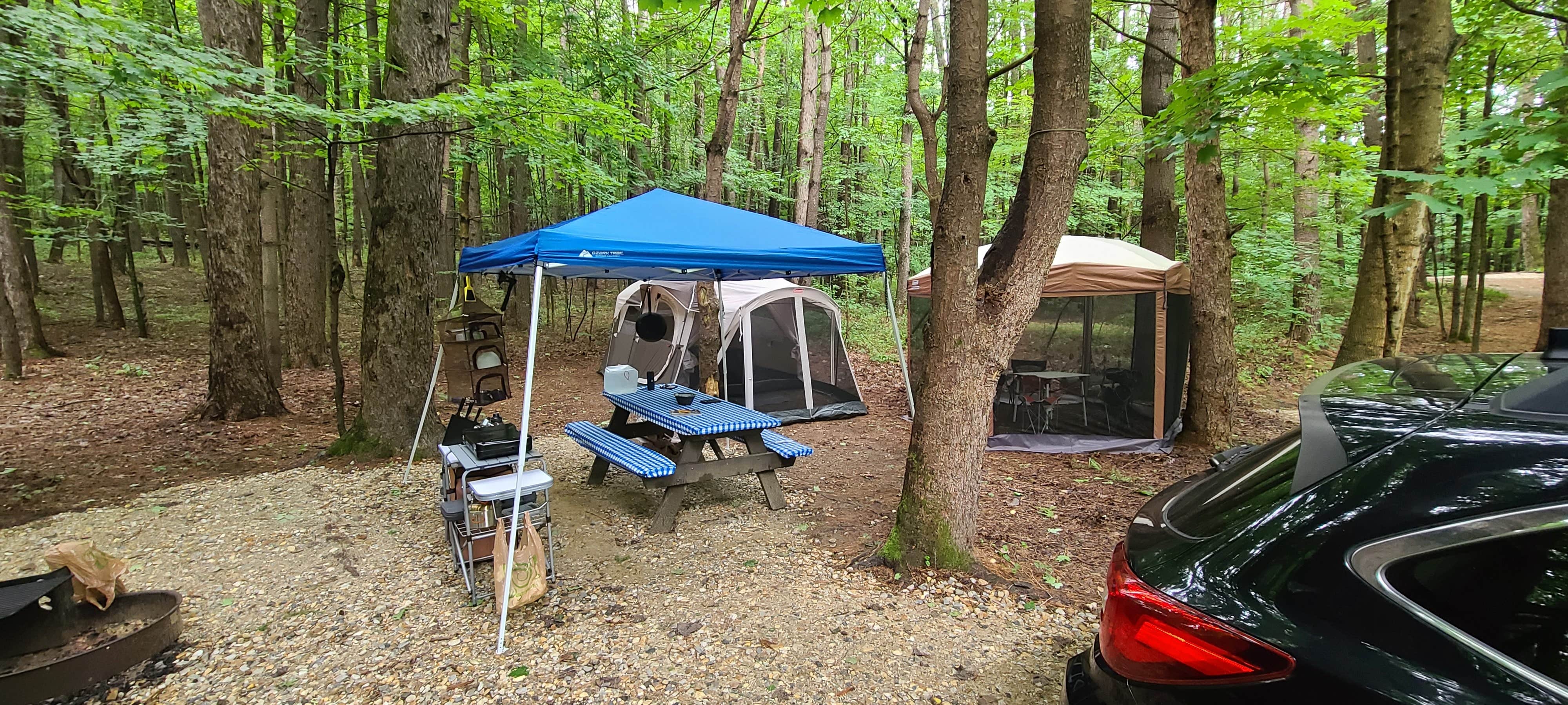 Tim S.'s photo at Wompatuck State Park Campground near Needham, MA