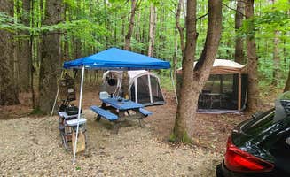 Tim S.'s photo at Wompatuck State Park Campground near Westwood, MA