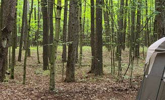 Tim S.'s photo at Wompatuck State Park Campground near Revere, MA