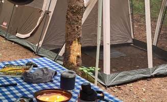 Tim S.'s photo at Wompatuck State Park Campground near Foxborough, MA