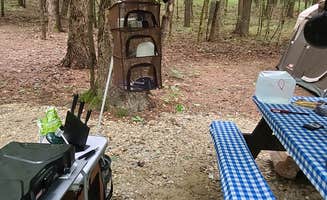 Tim S.'s photo at Wompatuck State Park Campground near Winchester, MA