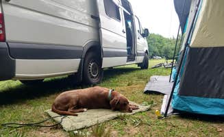 Rebecca T.'s photo of camping with pets at Hadley's Point Campground near Milbridge, ME