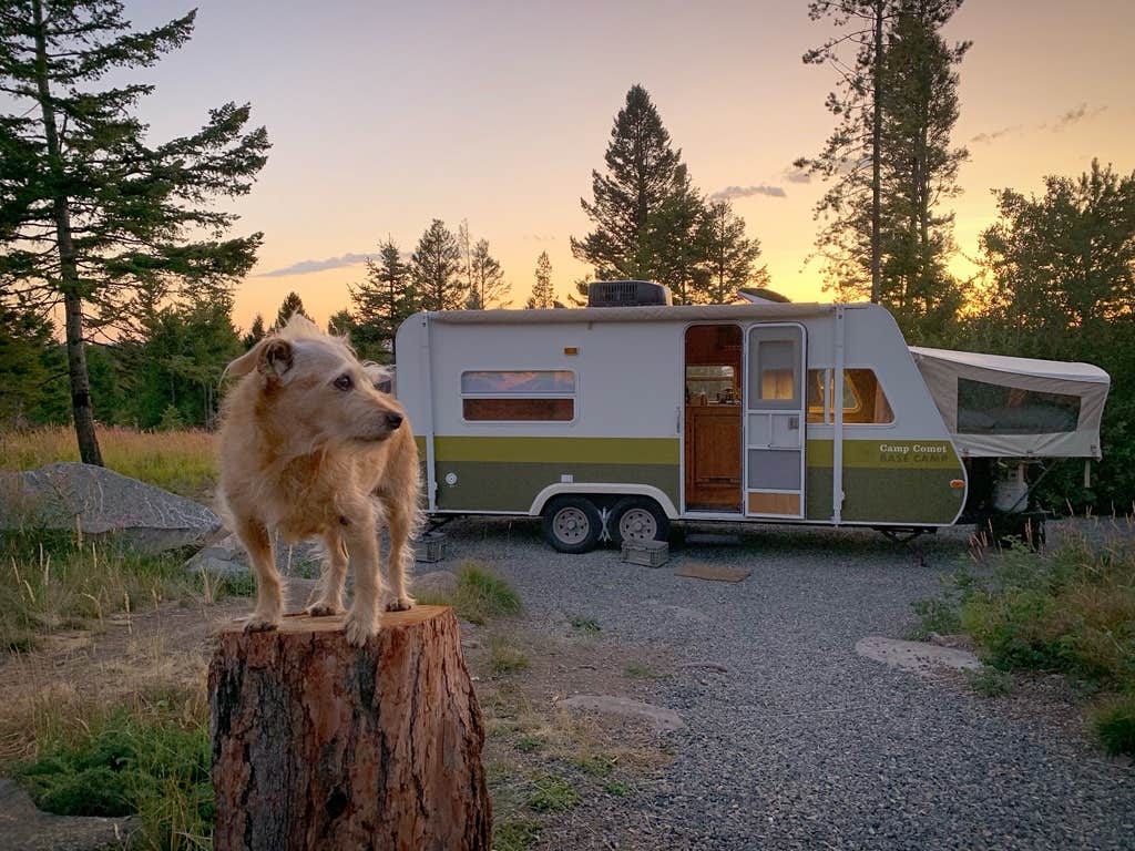Camp Comet's photo of camping with pets at Cromwell Dixon Campground near Helena, MT