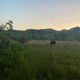 Review photo of Cottonwood Campground — Theodore Roosevelt National Park by Keith M., July 11, 2021