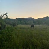 Review photo of Cottonwood Campground — Theodore Roosevelt National Park by Keith M., July 11, 2021