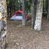 Review photo of Lodgepole Campground by Dale G., June 14, 2018