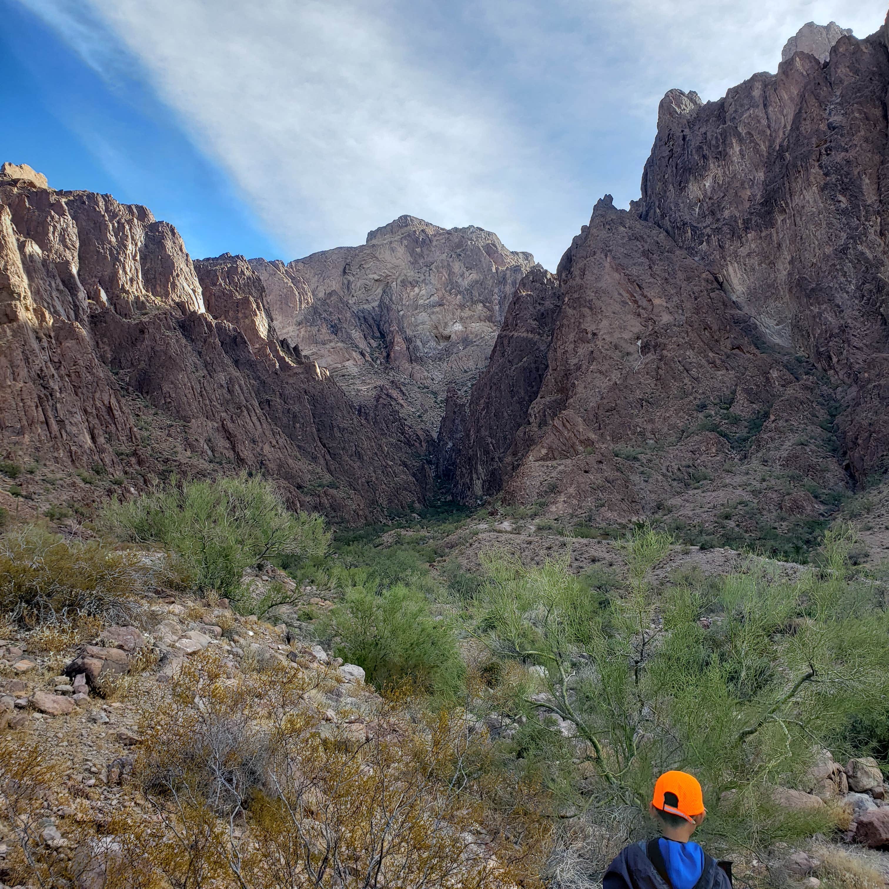 Kofa National Wildlife Refuge Camping | The Dyrt