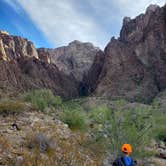 Review photo of Kofa National Wildlife Refuge by Jon F., July 11, 2021