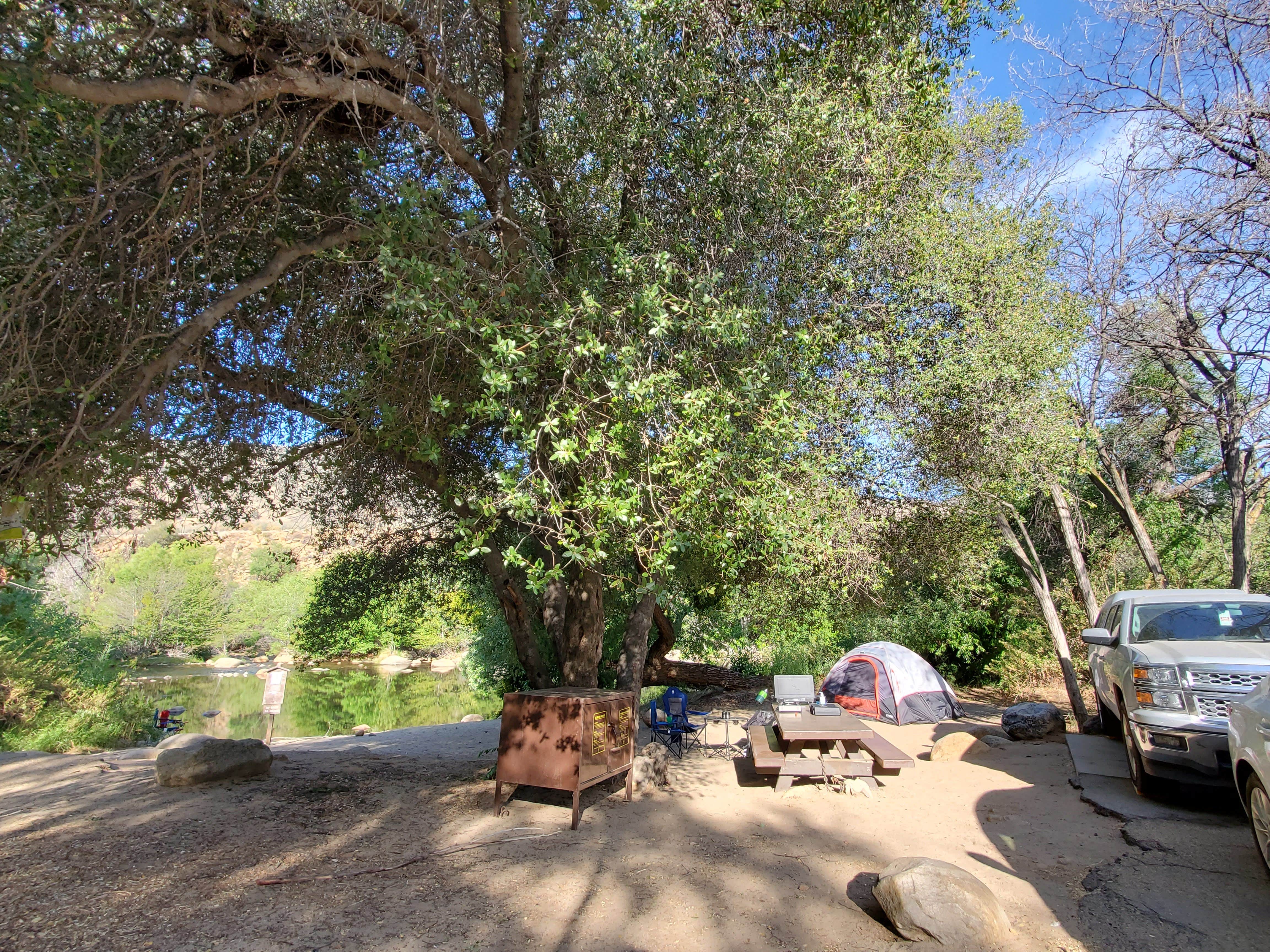 Natalie T.'s photo at Long Meadow Group near Sequoia National Forest