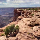 Review photo of Kayenta Campground — Dead Horse Point State Park by Camp Comet , July 11, 2021