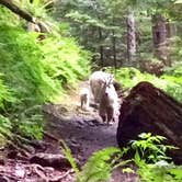 Review photo of Lena Lake Campground by Lance R., June 14, 2018