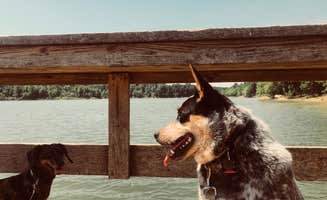 Shelly S.'s photo of camping with pets at Cave Creek - Rough River Lake near Cannelton, IN
