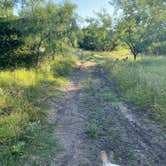 Review photo of South Llano River State Park Campground by Briana , July 11, 2021