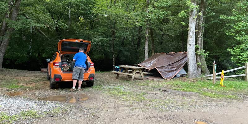 Camper submitted image from Jenny's Creek Family Campground