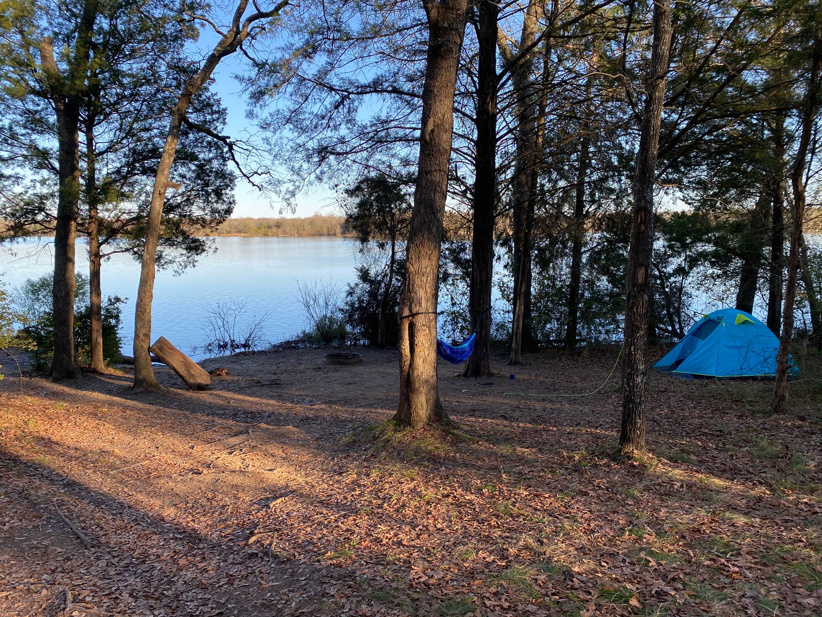 Purtis Creek The Dyrt