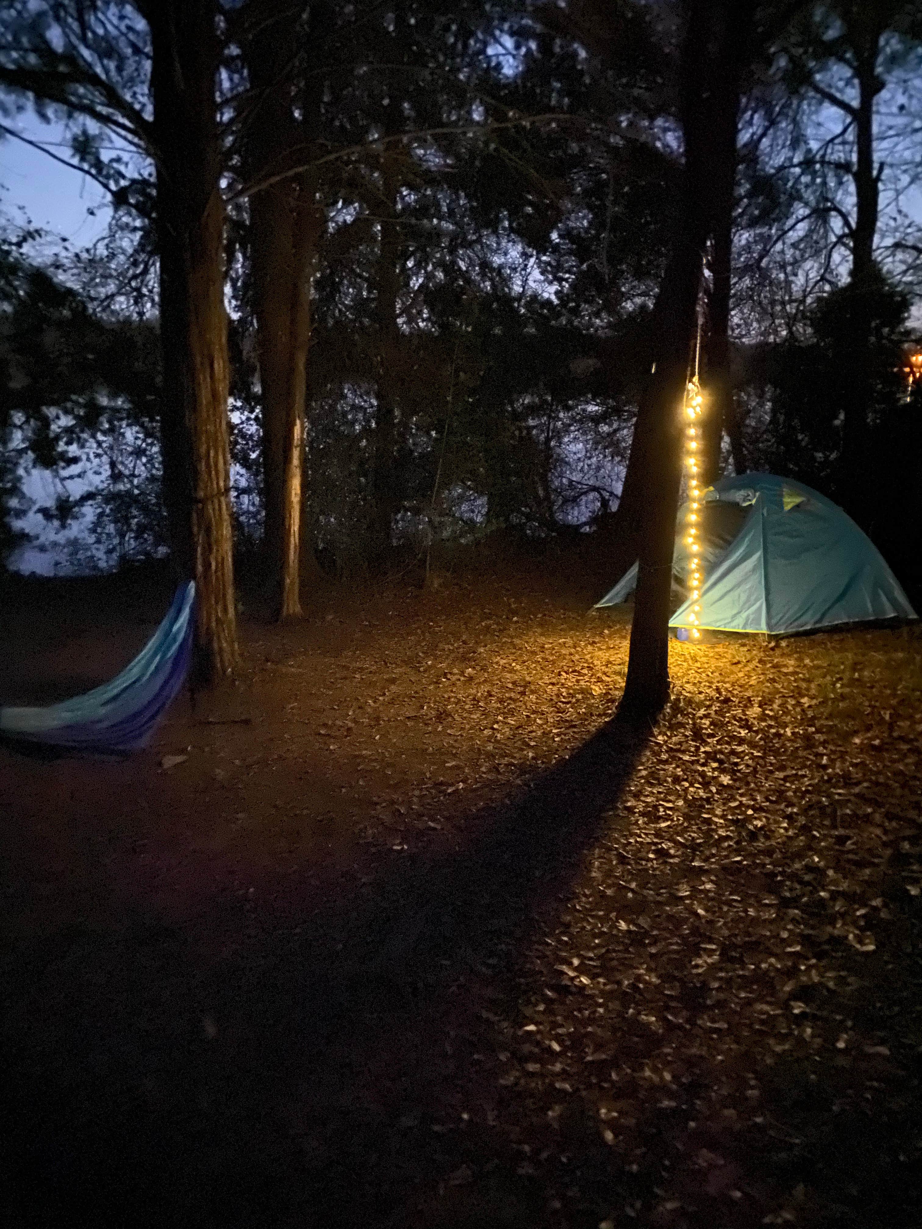 Briana's photo at Purtis Creek State Park Campground near Canton, TX