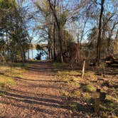 Review photo of Purtis Creek State Park Campground by Briana , July 11, 2021