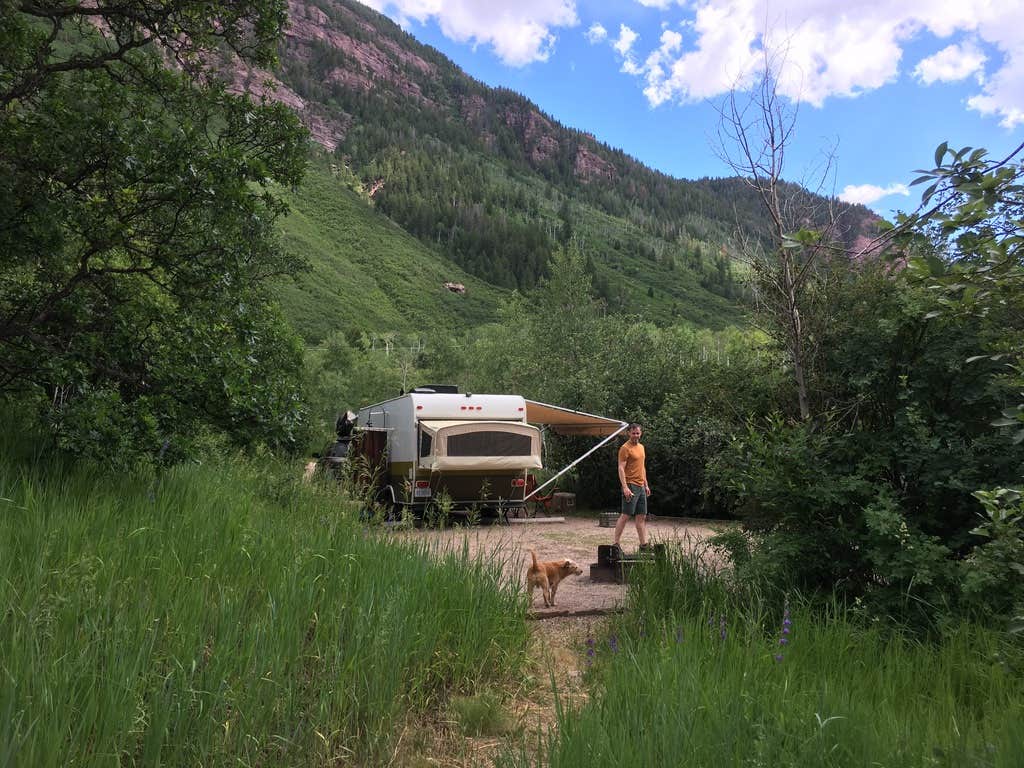 Camp Comet's photo of camping with pets at Redstone White River National Forest near Carbondale, CO