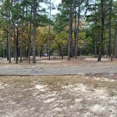 Review photo of Daingerfield State Park Campground by Briana , July 11, 2021