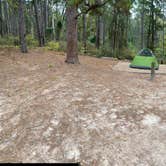 Review photo of Daingerfield State Park Campground by Briana , July 11, 2021