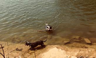 Shelly S.'s photo of camping with pets at Cave Creek - Rough River Lake near Rough River Lake