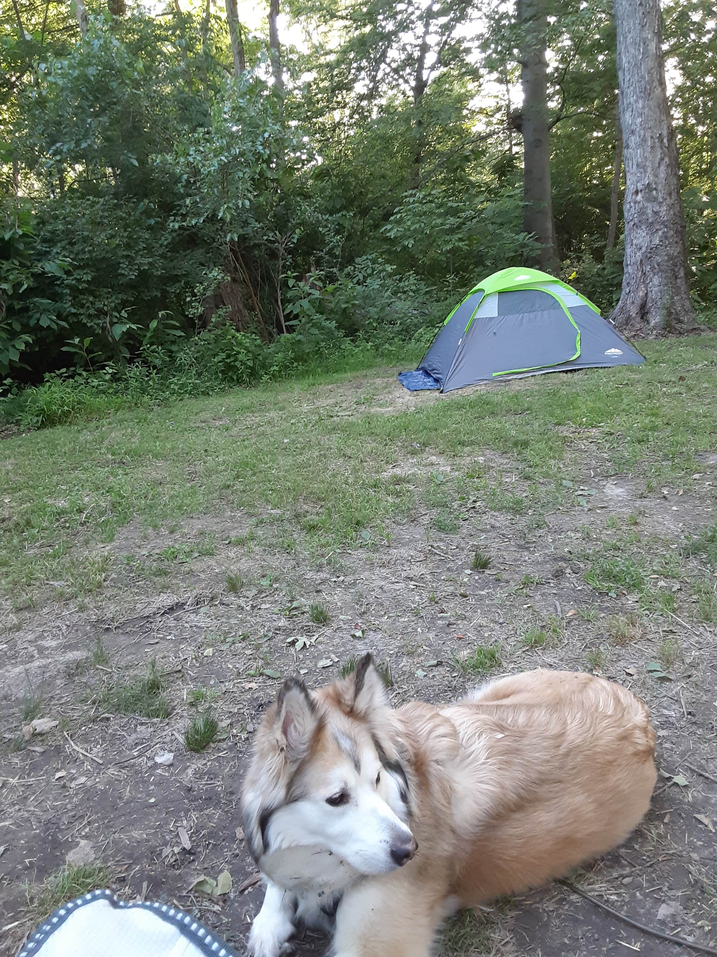 Lawrence L.'s photo at Cowan Lake State Park Campground near Concord, OH