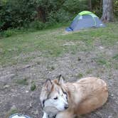 Review photo of Cowan Lake State Park Campground by Lawrence L., July 11, 2021